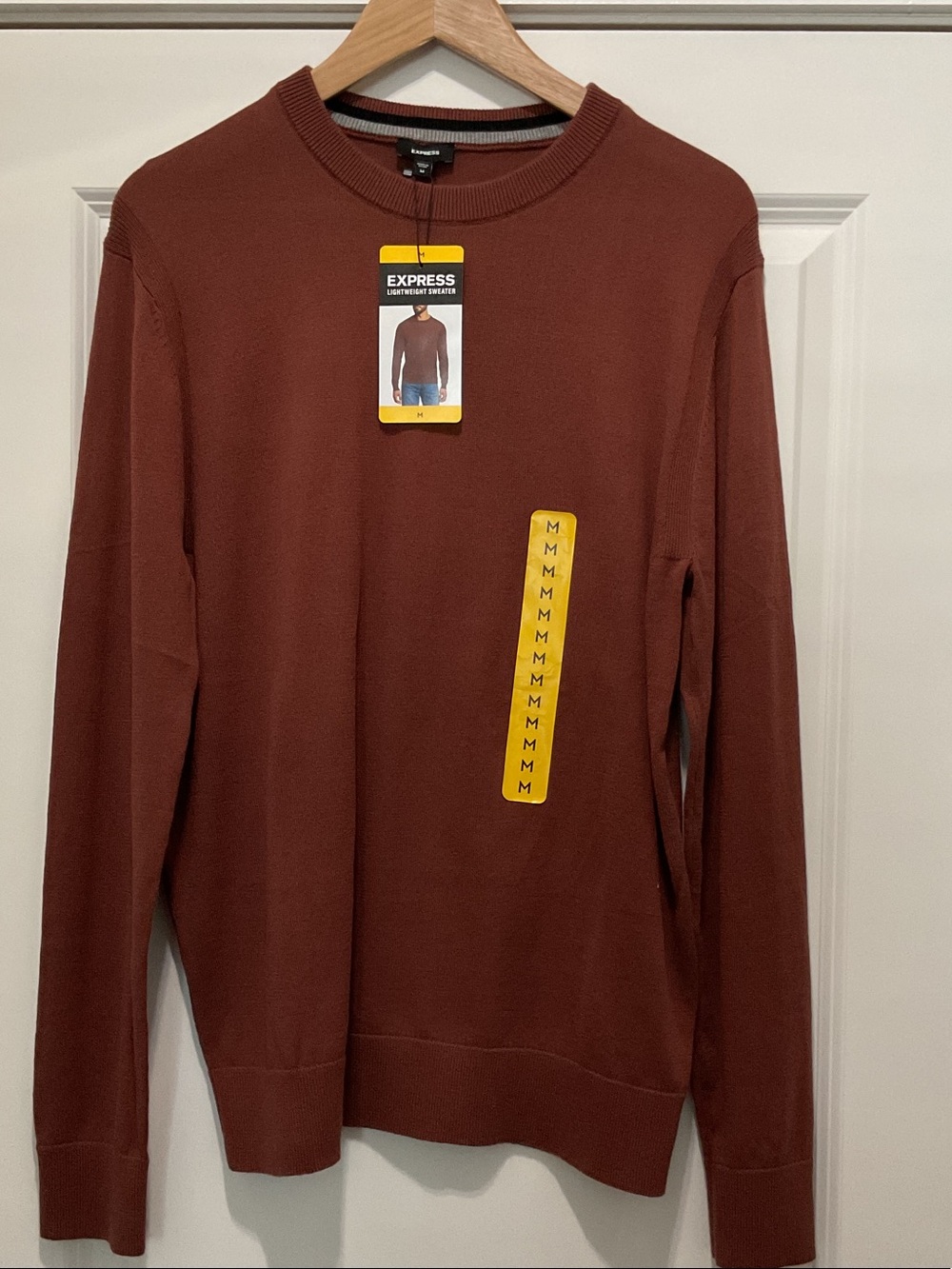 Express Men’s Crewneck Sweater in Rust Brown